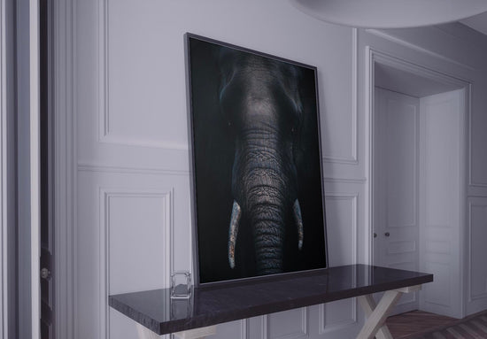 Hugo Hebbe - Photographe animalier