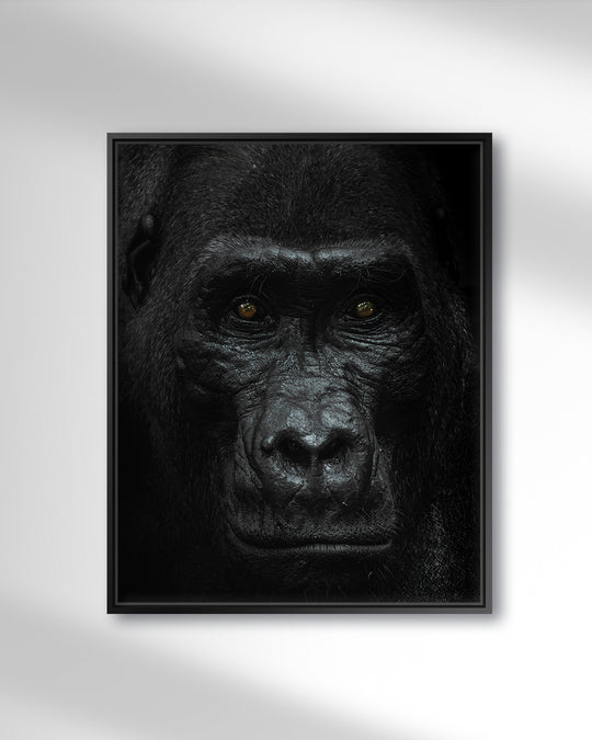 Silverback