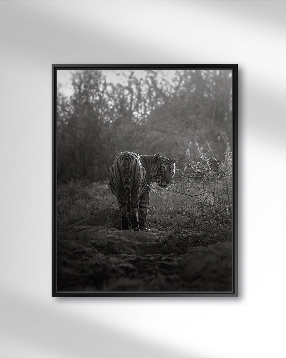 THE LAST GOODBYE - NB