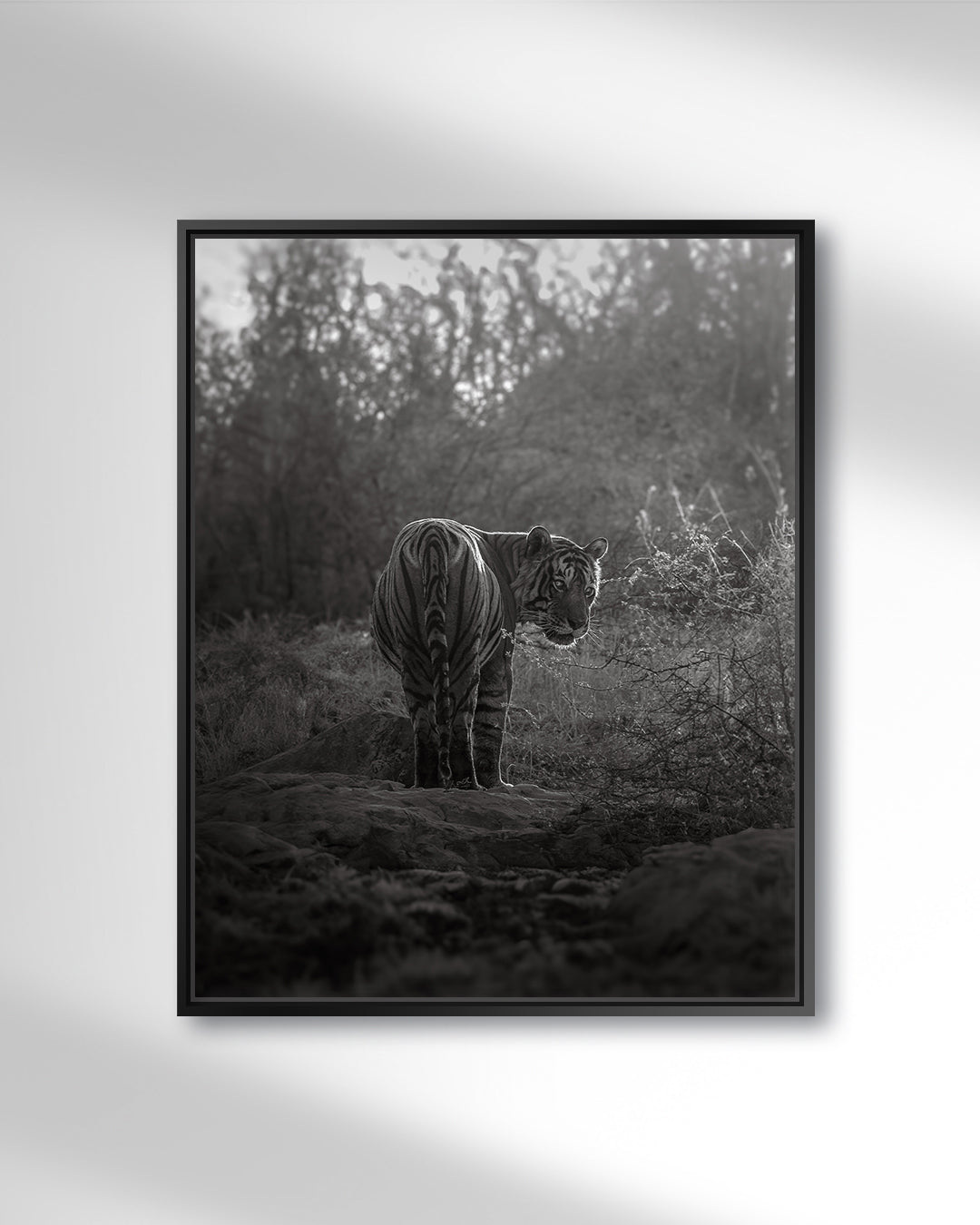 THE LAST GOODBYE - NB