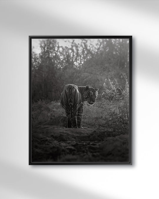 THE LAST GOODBYE - NB