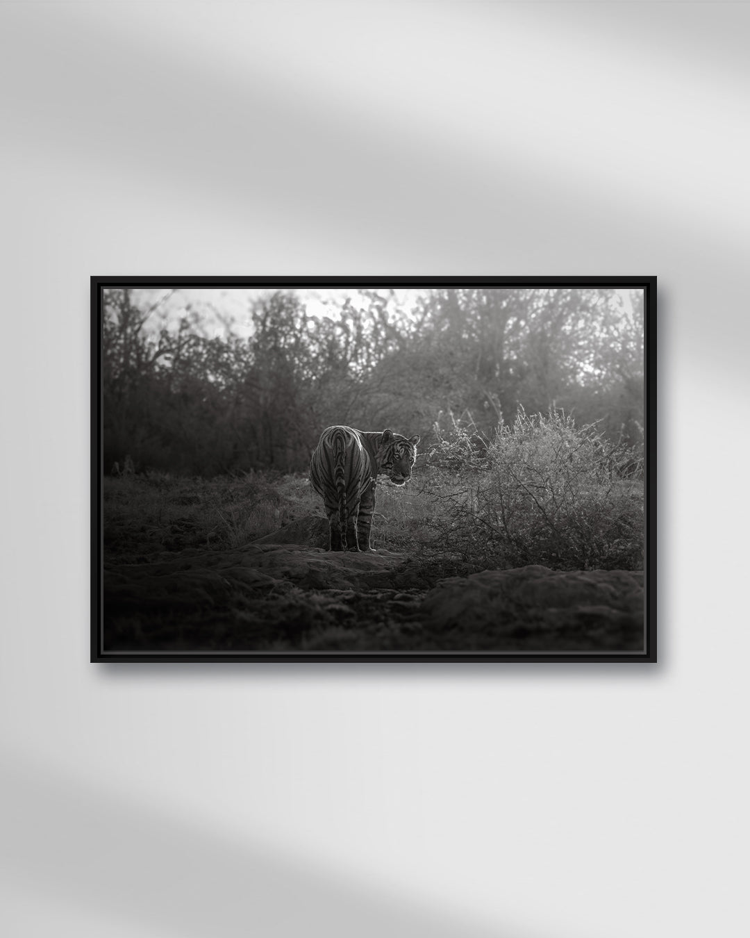 THE LAST GOODBYE - NB