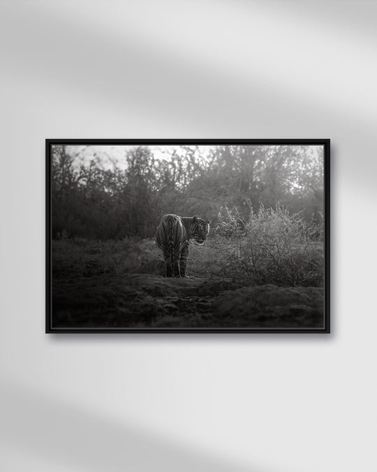 THE LAST GOODBYE - NB